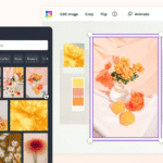 Layout